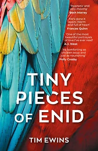 Tiny Pieces of Enid