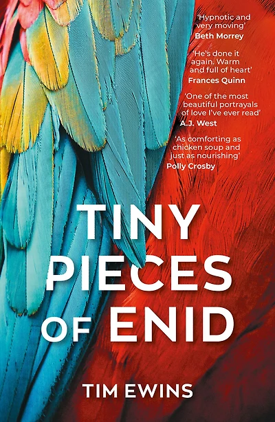 Tiny Pieces of Enid