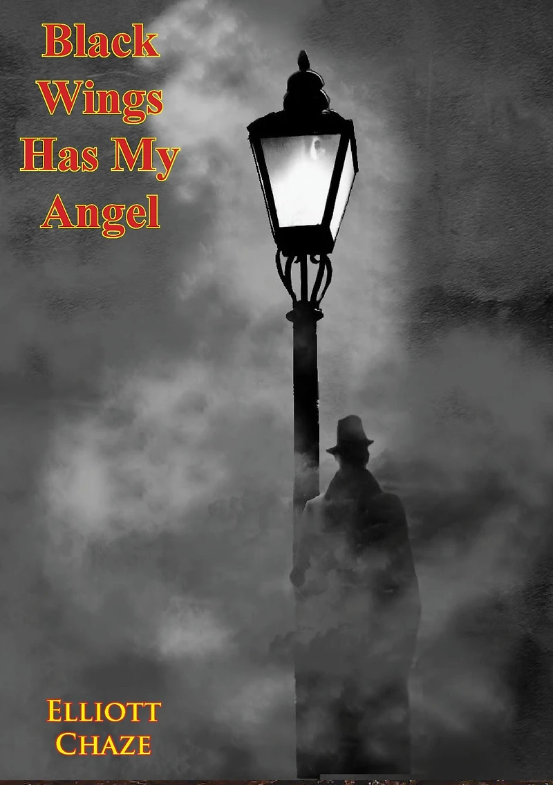 Black Wings Has My Angel