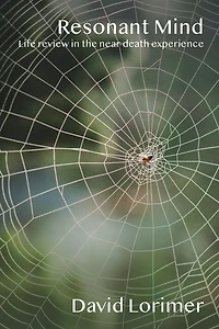Resonant Mind: Life Review in the Near-Death Experience