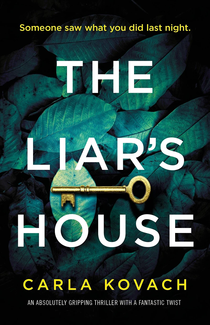 The Liar's House: An absolutely gripping thriller with a fantastic twist