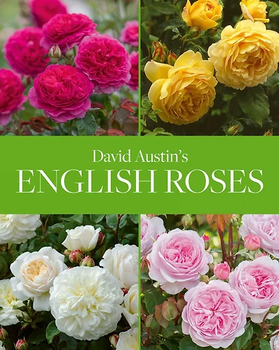 David Austin's English Roses