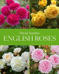 David Austin's English Roses