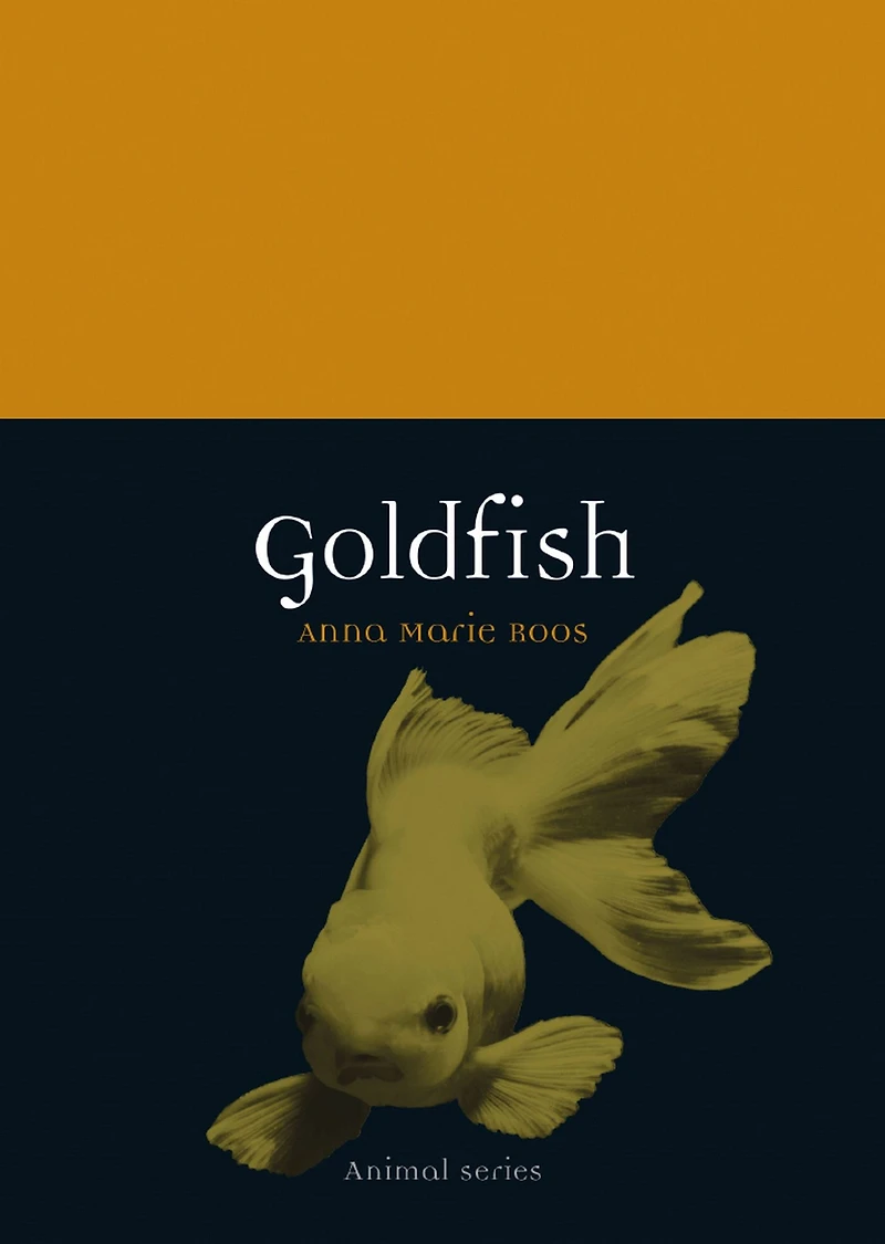 Goldfish