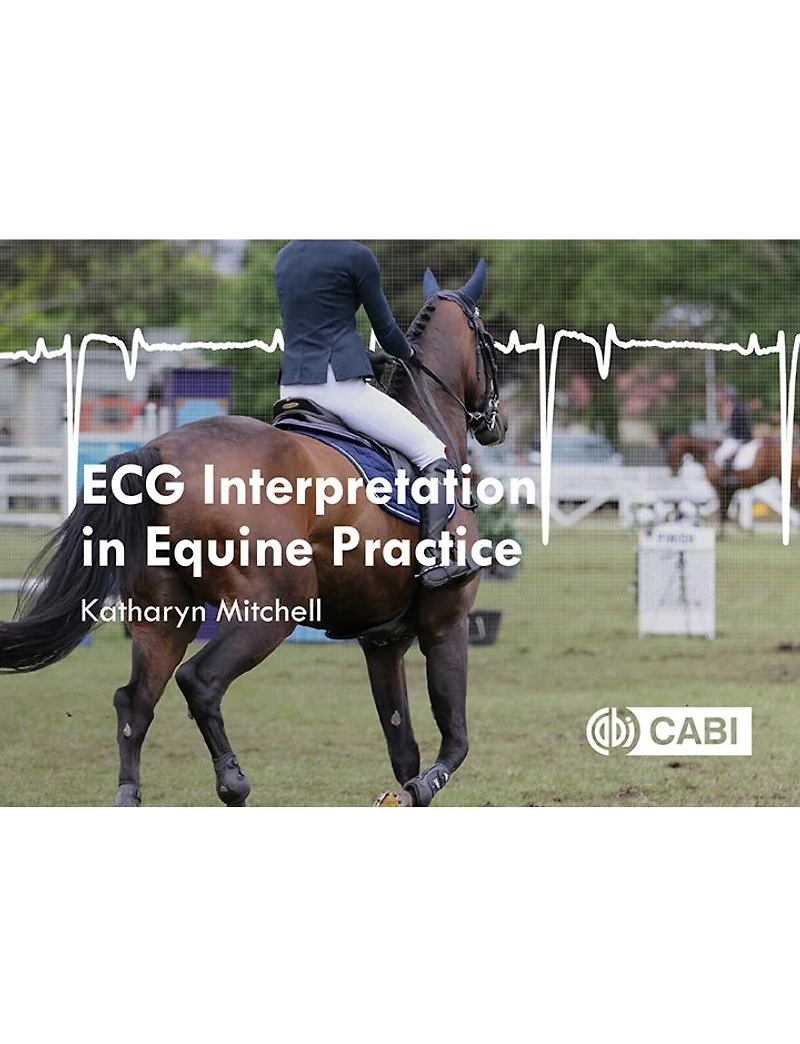 ECG Interpretation Equine Practice