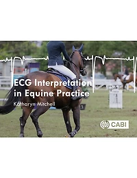 ECG Interpretation Equine Practice
