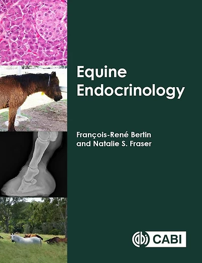 Equine Endocrinology
