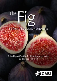 The Fig: Botany, Production and Uses