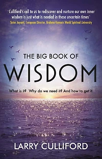 The Big Book of Wisdom: What Is It? Why Do We Need It? And How to Get It?