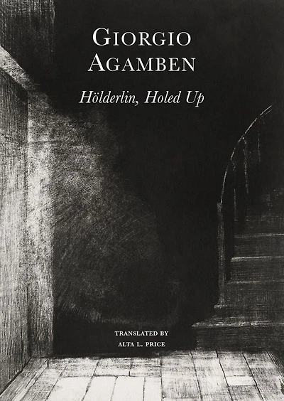 Hölderlin's Madness: Chronicle of a Dwelling Life, 1806-1843