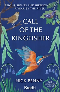 Call of the Kingfisher: Bright sights and bird song a year by river