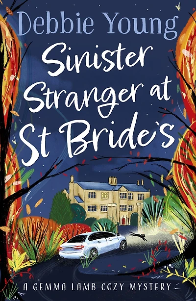 Sinister Stranger at St Brides