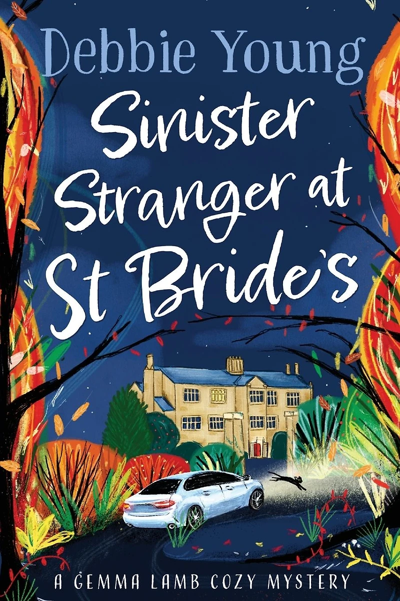 Sinister Stranger at St Brides