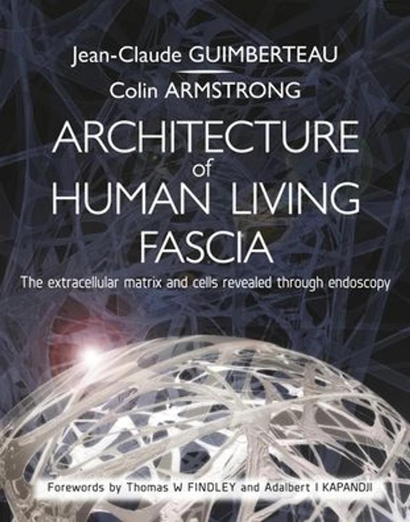 Architecture of Human Living Fascia: The Extracellular Matrix and Cells Revealed Through Endoscopy