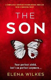 The Son: a completely gripping psychological thriller with shocking twist