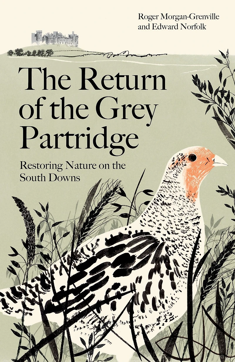 the Return of Grey Partridge: Restoring Nature on South Downs