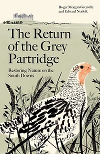 the Return of Grey Partridge: Restoring Nature on South Downs