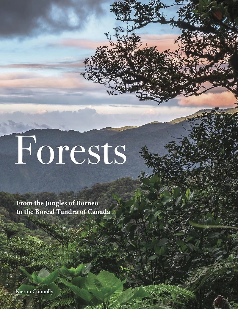 Forests: From the Amazon Rainforest to the Siberian Taiga