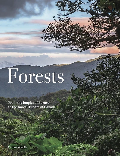 Forests: From the Amazon Rainforest to the Siberian Taiga