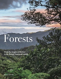Forests: From the Amazon Rainforest to the Siberian Taiga
