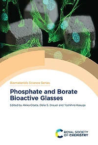 Phosphate and Borate Bioactive Glasses