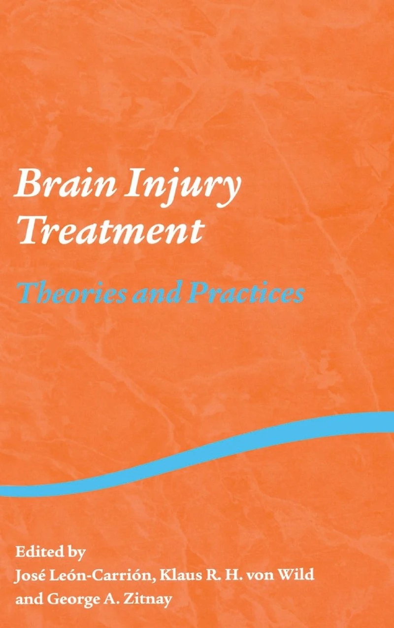 Brain Injury Treatment: Theories and Practices