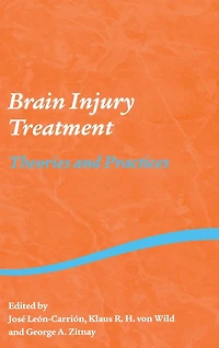 Brain Injury Treatment: Theories and Practices