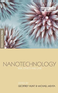 Nanotechnology: Risk, Ethics and Law