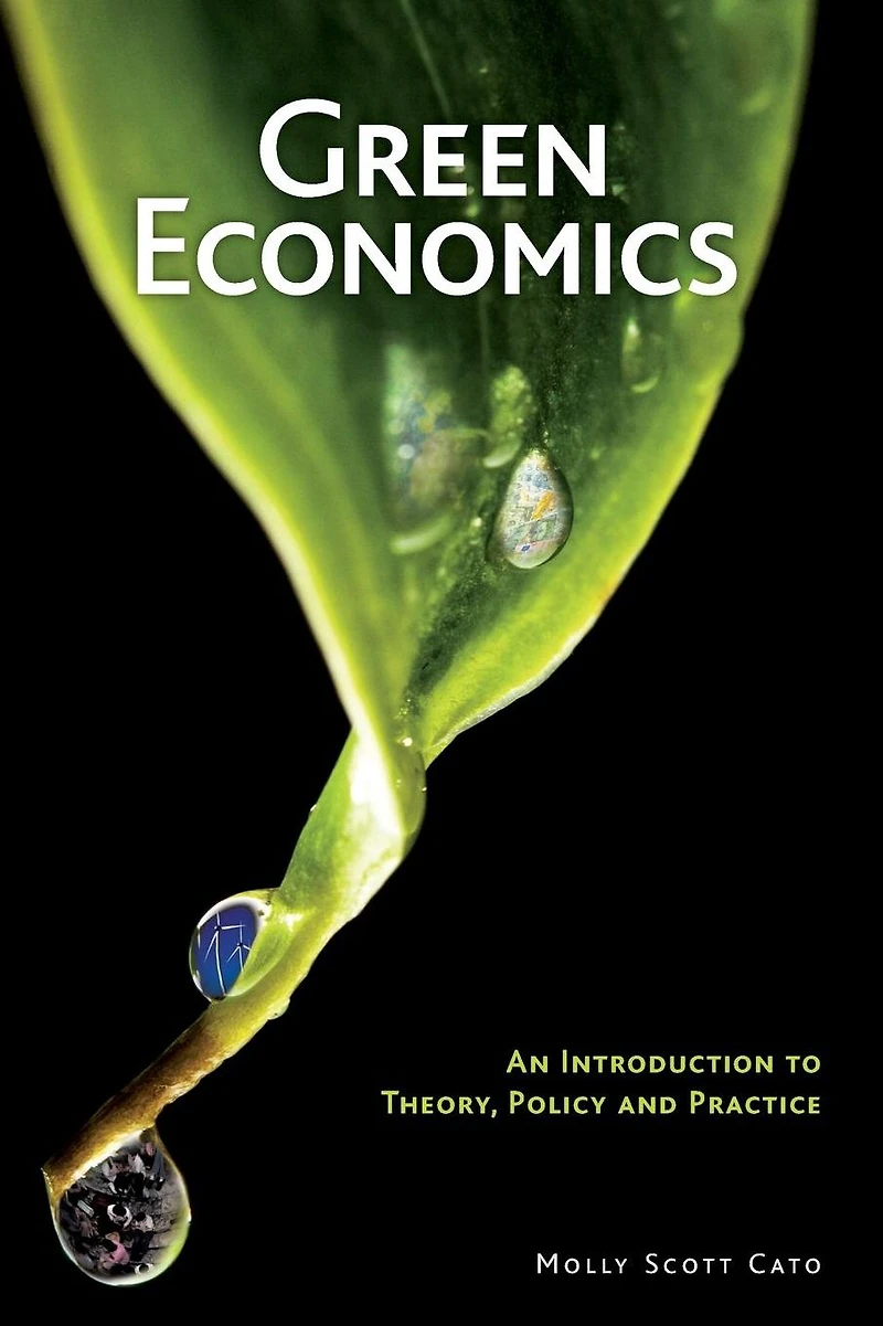 Green Economics: An Introduction to Theory, Policy and Practice