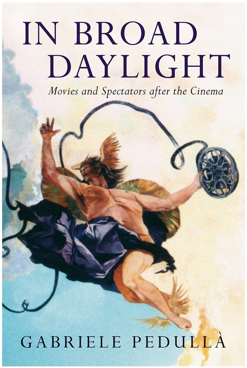 Broad Daylight: Movies and Spectators After the Cinema