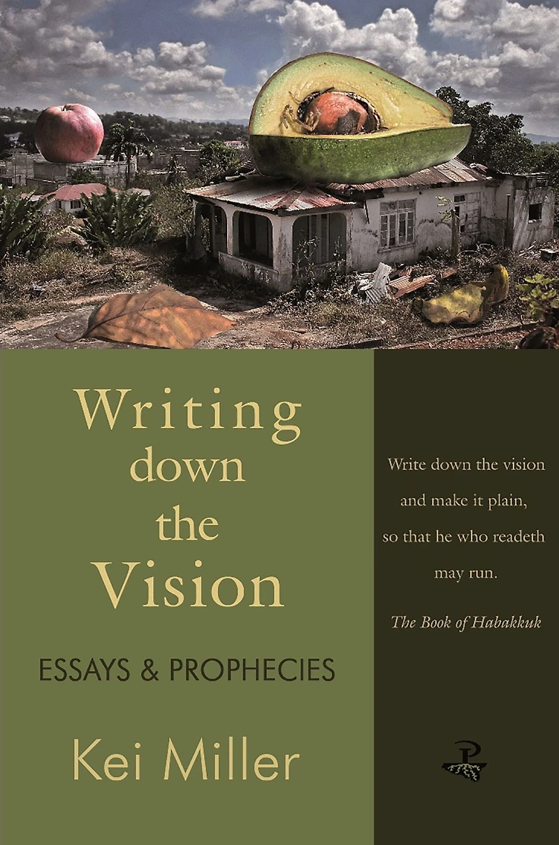 Writing Down the Vision: Essays & Prophecies
