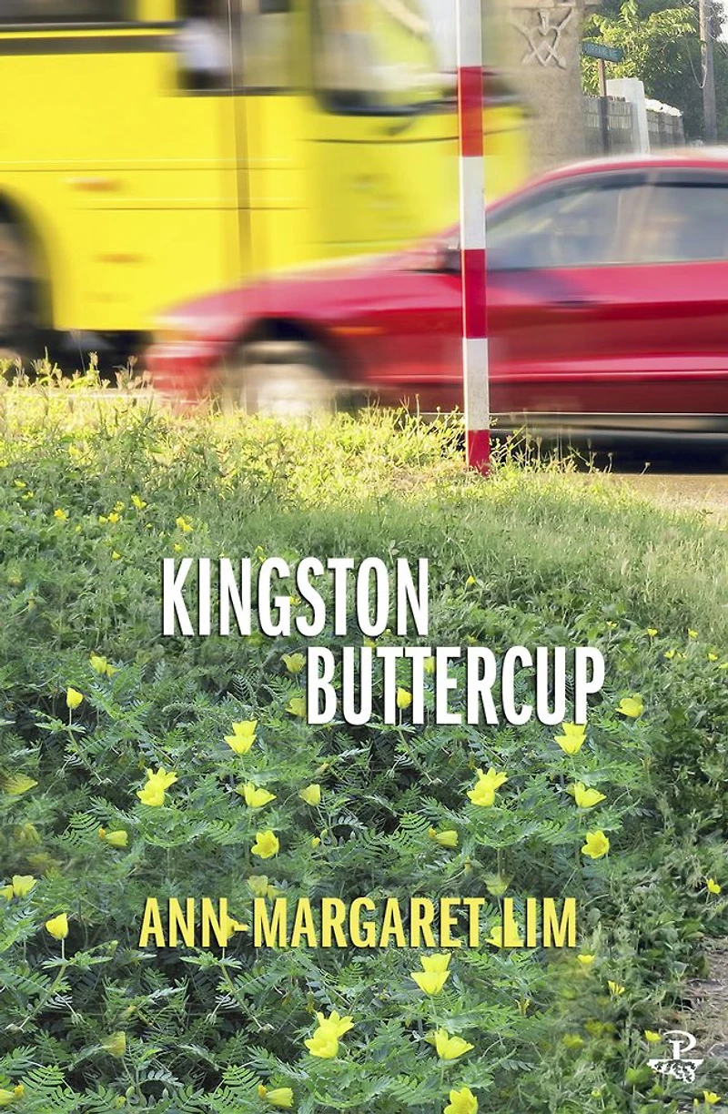 Kingston Buttercup