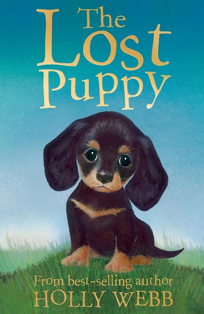 The Lost Puppy