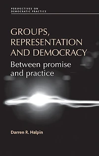 Groups, representation and democracy: Between promise and practice