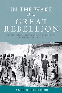 the wake of great rebellion: Republicanism, agrarianism and banditry Ireland after 1798