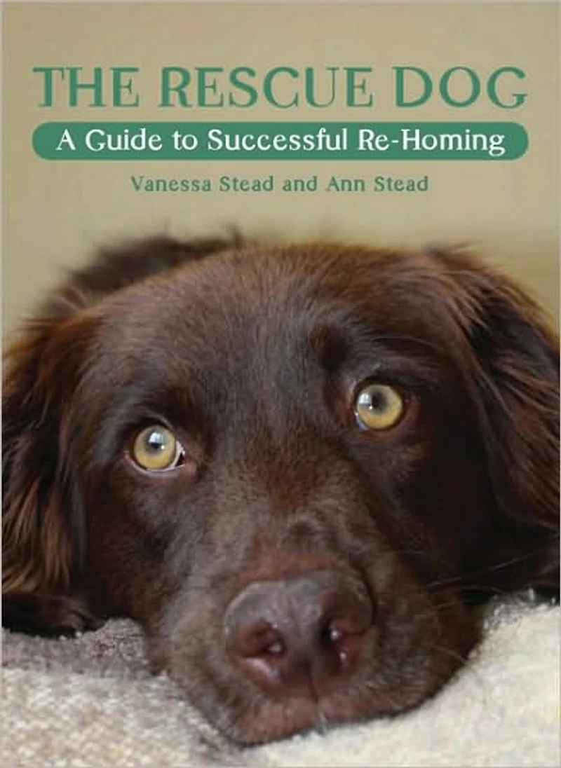 Rescue Dog: A Guide to Successful Re-homing