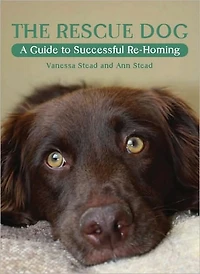 Rescue Dog: A Guide to Successful Re-homing