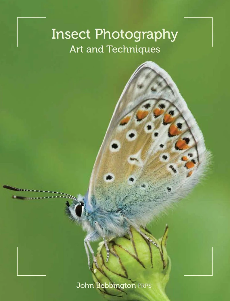 Insect Photography: Art and Techniques
