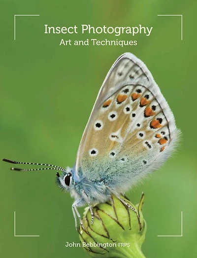 Insect Photography: Art and Techniques