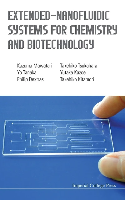 Extended-nanofluidic Systems For Chemistry And Biotechnology