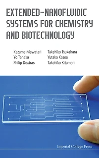 Extended-nanofluidic Systems For Chemistry And Biotechnology