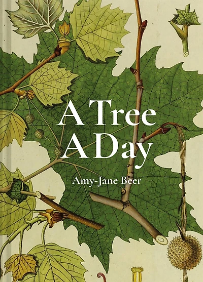 a Tree Day