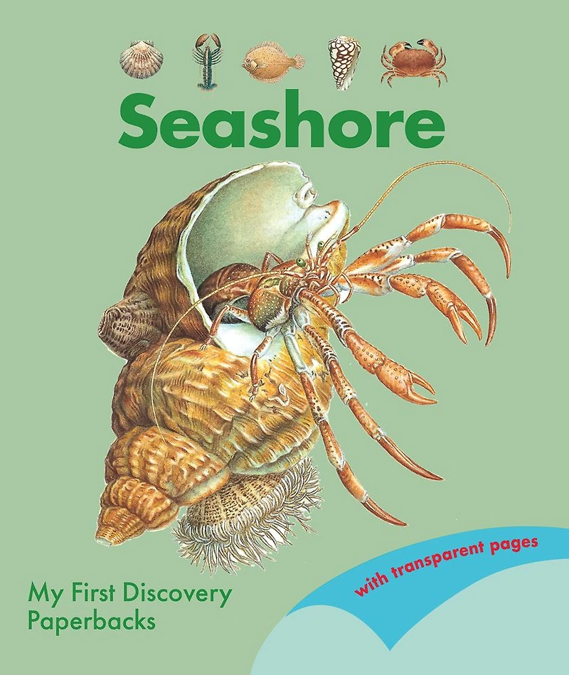 Seashore