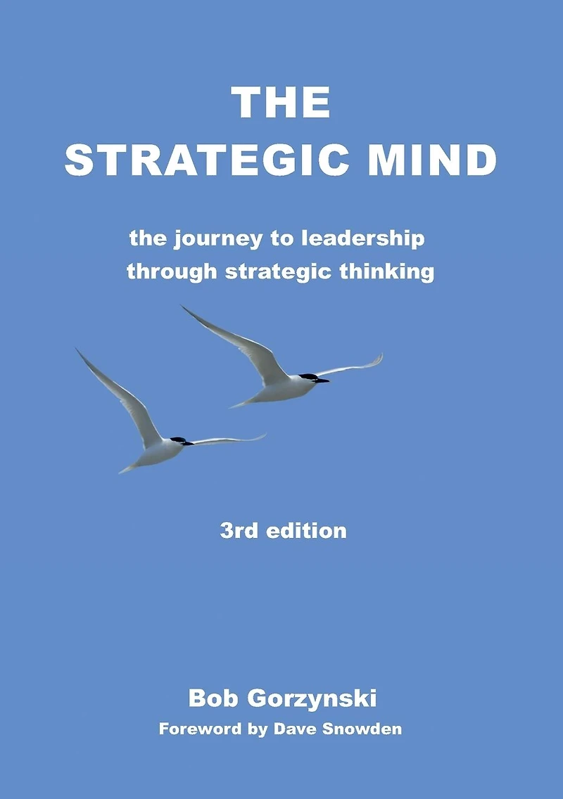 The Strategic Mind: The Journey to Leadership through Strategic Thinking