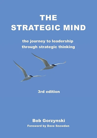 The Strategic Mind: The Journey to Leadership through Strategic Thinking