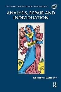 Analysis, Repair and Individuation