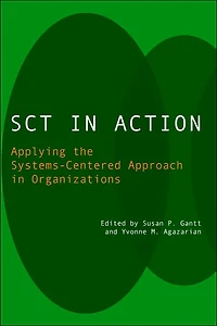 SCT Action: Applying the Systems-Centered Approach Organizations