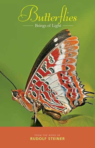 Butterflies: Beings of Light