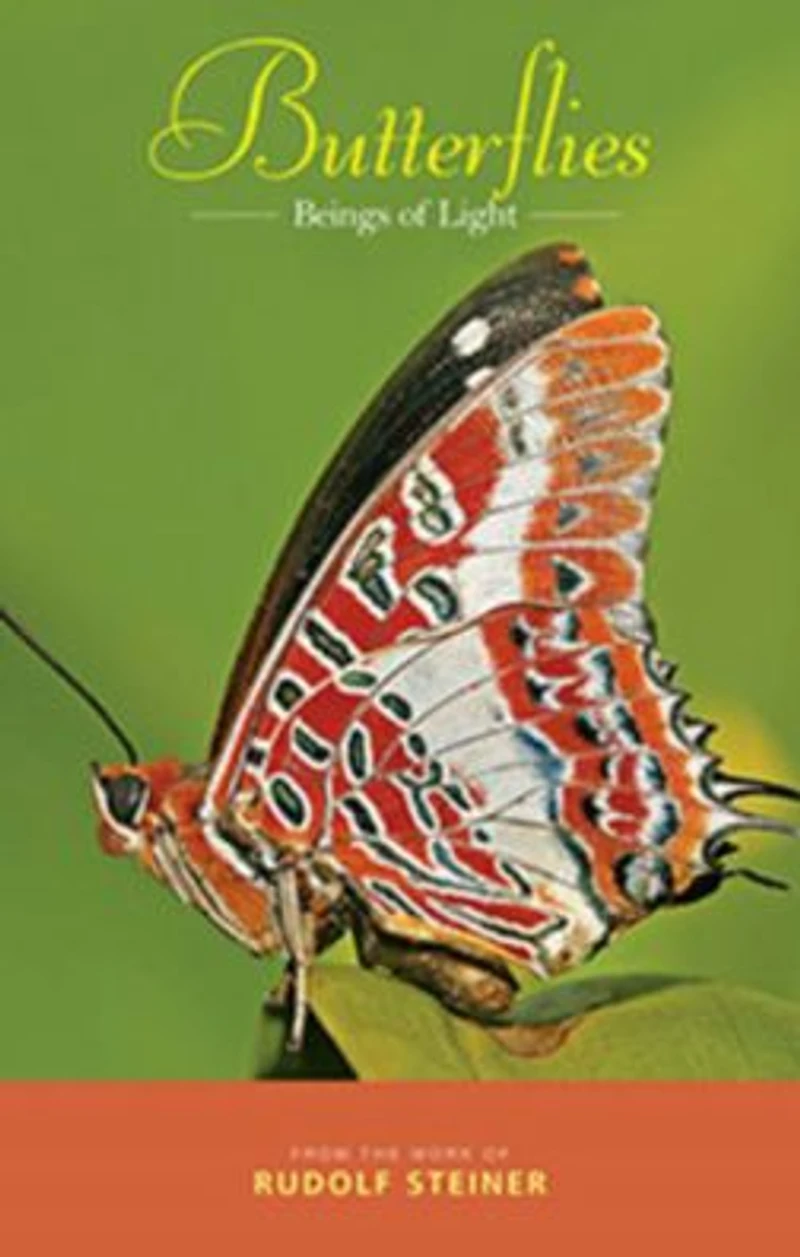 Butterflies: Beings of Light