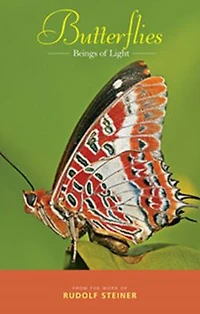 Butterflies: Beings of Light